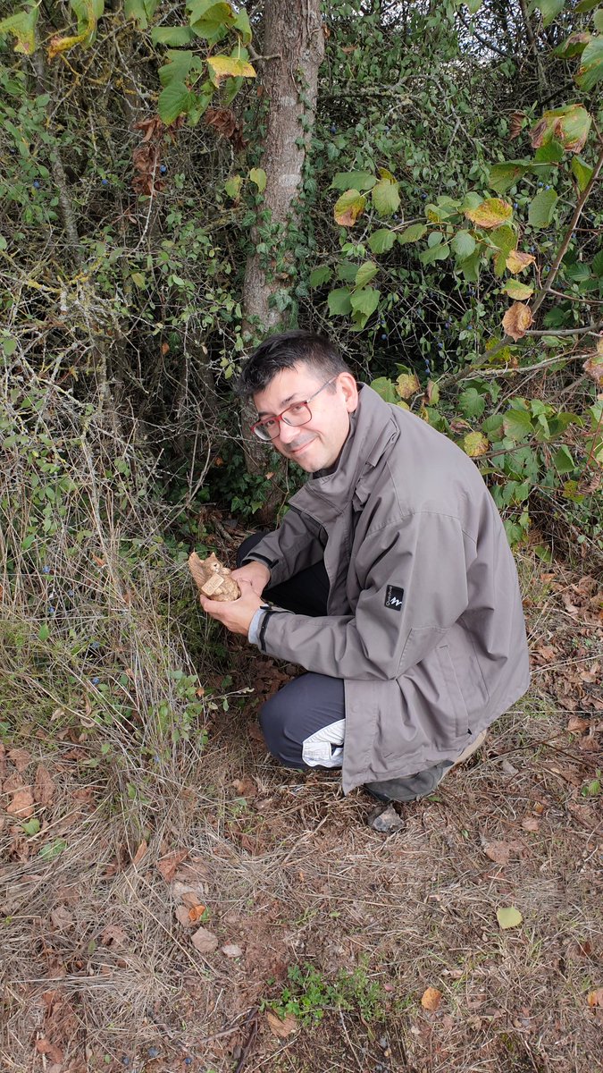 David Sarrado tweet media