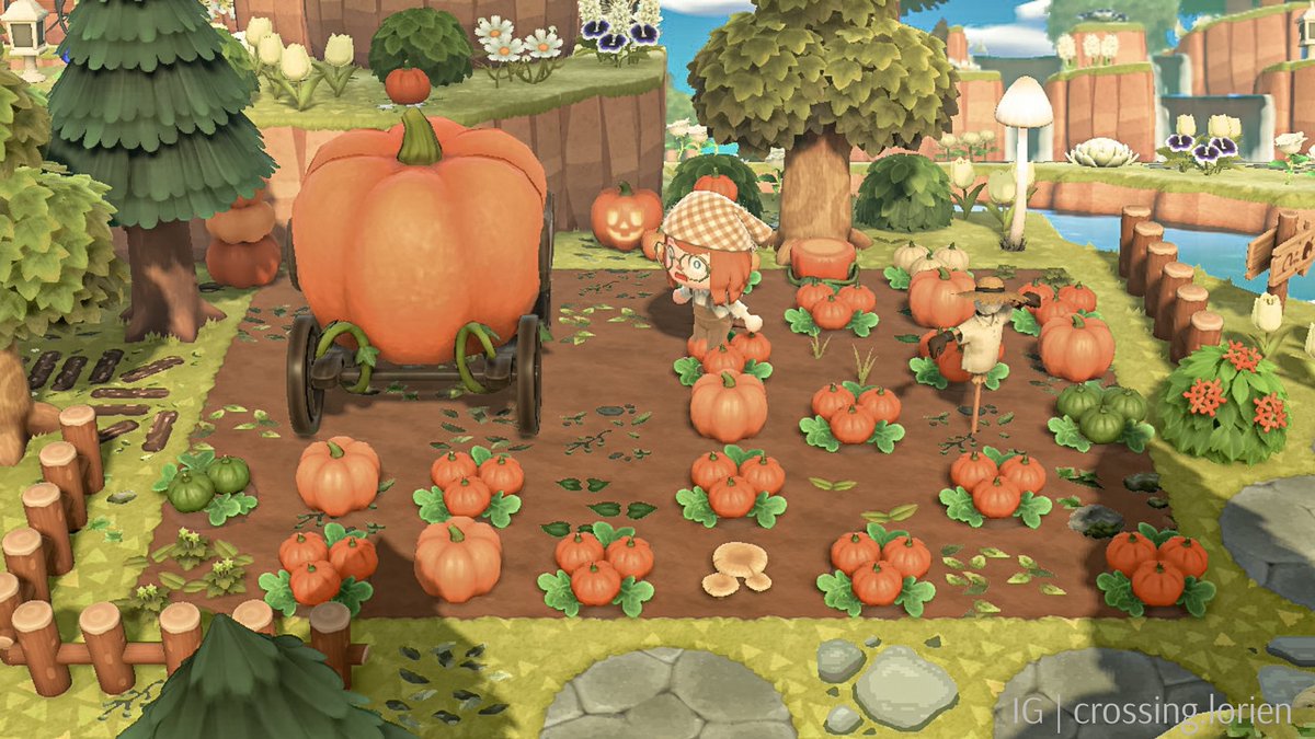 lexplayyy's tweet photo. Can you guess which pumpkin I'm taking with me to the county fair? 

#animalcrossing #AnimalCrossingNewHorizons #acnhidea #acnhdesign https://t.co/568ydgCATl