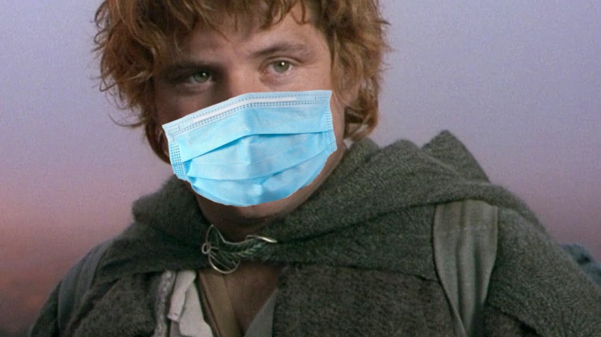 Samwise Gamgee: of course, and bought all of the other hobbit’s masks