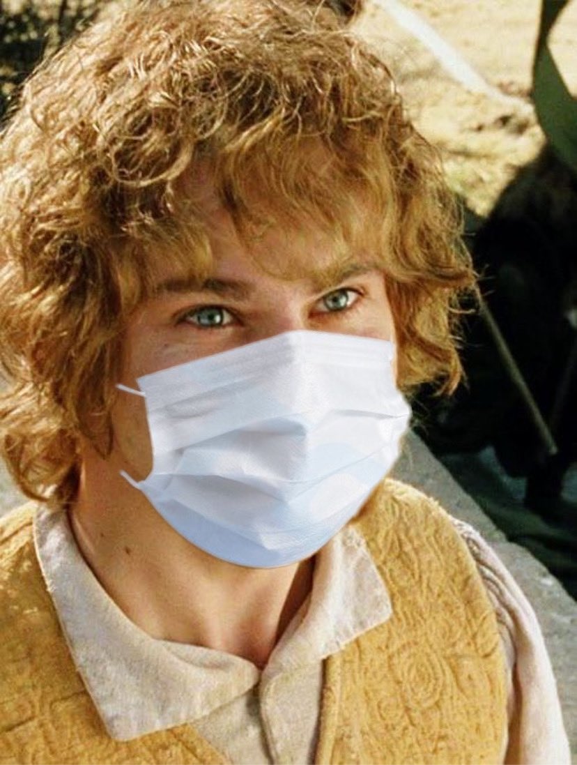 Merry Brandybuck: didn’t plan on it, but hey, it’s a free mask. “Thanks, Sam.”