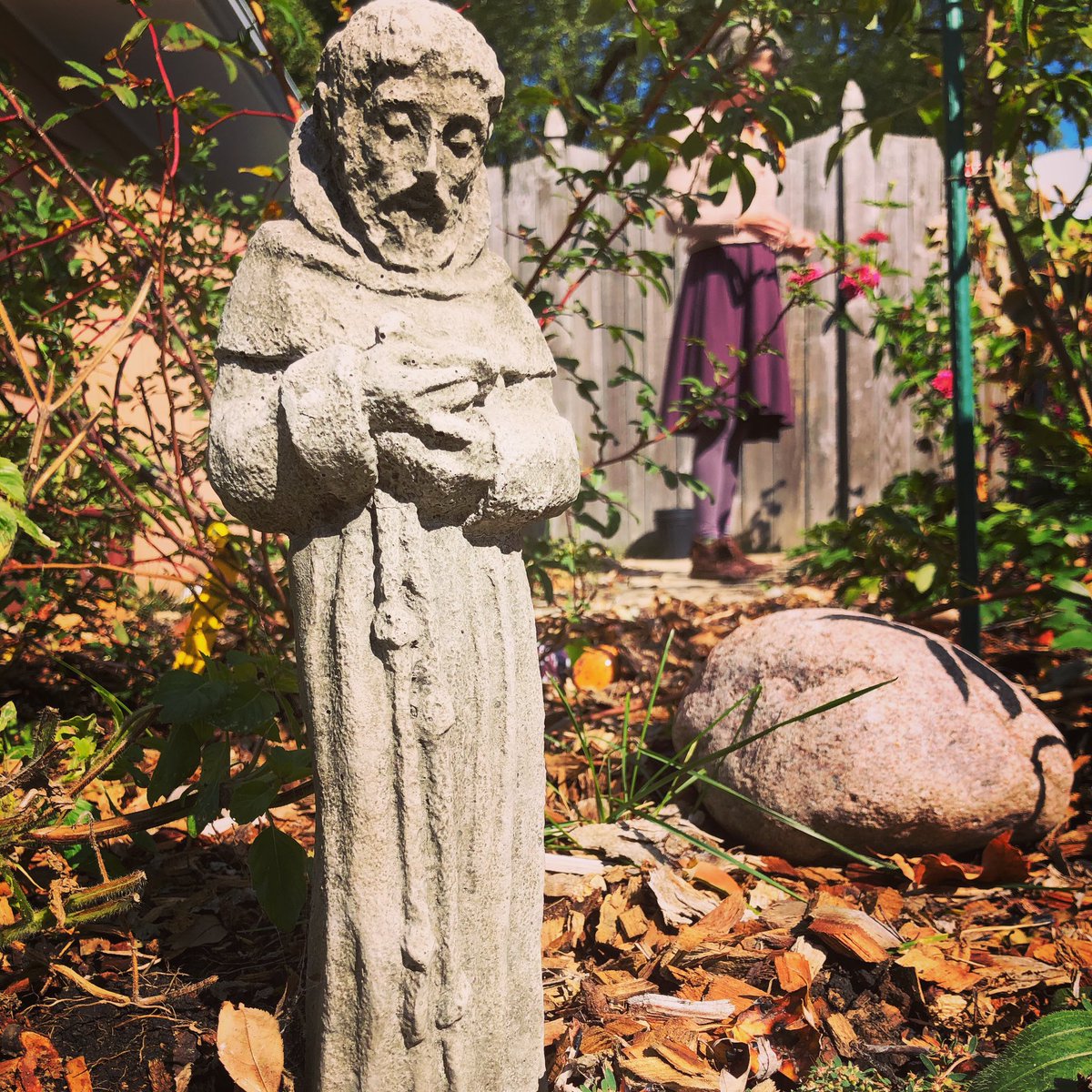 jasonbenefield's tweet photo. .@BenefieldLara doing work in the garden in her @SweetSkinsHemp dress on this dudeβs feast day feels appropriate.
#sweetskins #garden #autumn #stfrancisofassisi #notevencatholic https://t.co/vl5yzpJ4mn
