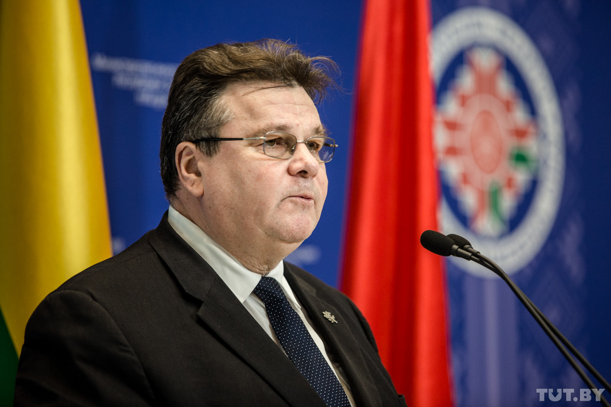 министр ин дел литвы. украинский литовец. литва упростила. вид на жительство литва. литва упростила.