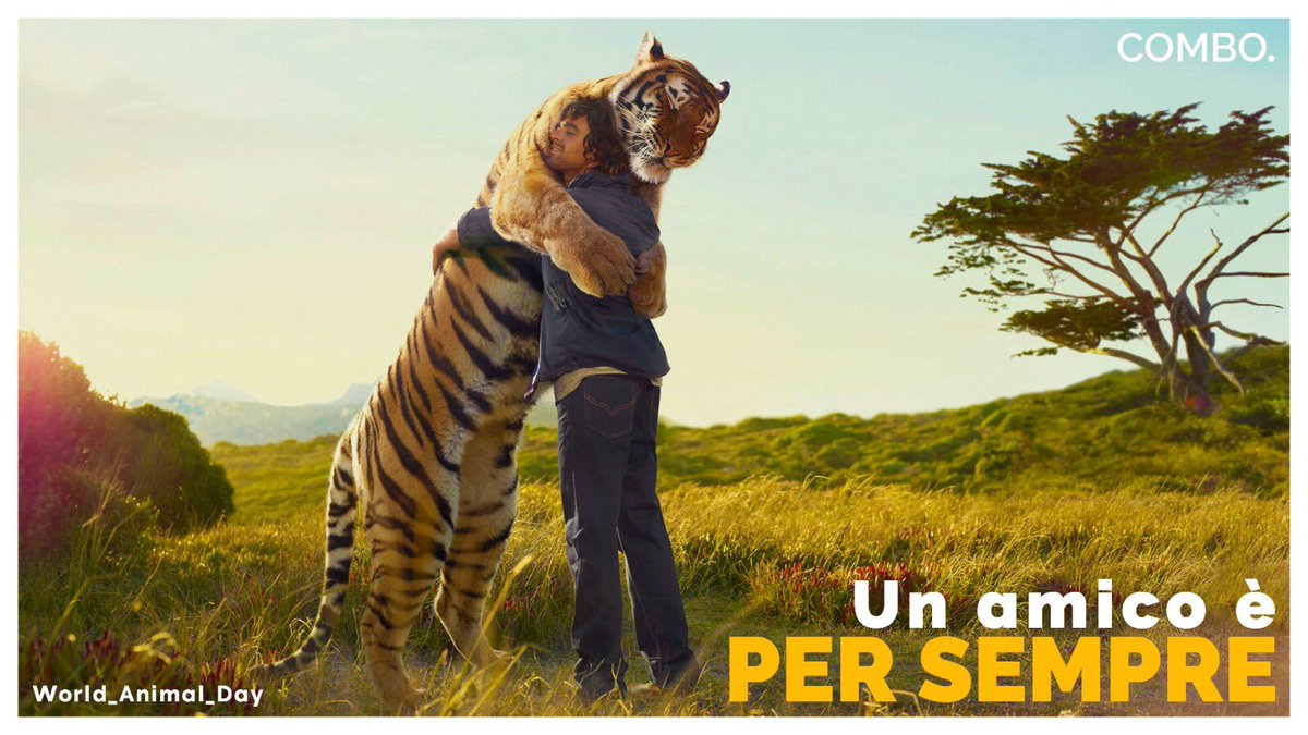 ComboAdv's tweet photo. ⁣
🟡 𝗪𝗢𝗥𝗟𝗗_𝗔𝗡𝗜𝗠𝗔𝗟_𝗗𝗔𝗬 🟡⁣
————————————————⁣
#4ottobre #domenica #BuonaDomenica #WorldAnimalDay #AnimalRights #animallovers https://t.co/618R2cCqA4