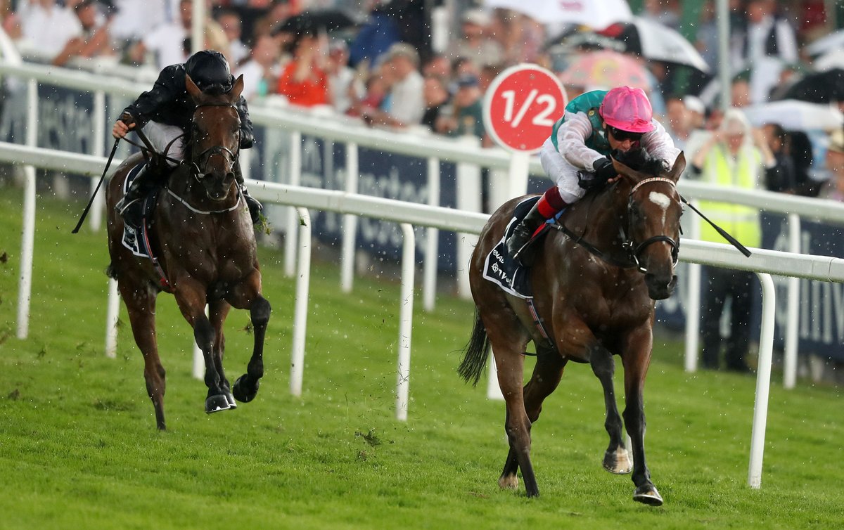 MirrorRacing's tweet photo. Racing LIVE results: Arc De Triomphe Longchamp tips and race card as Enable bids for record win #QPAT2020 #EnableDay https://t.co/to6IWYcIcQ https://t.co/NLvpiRFmiH