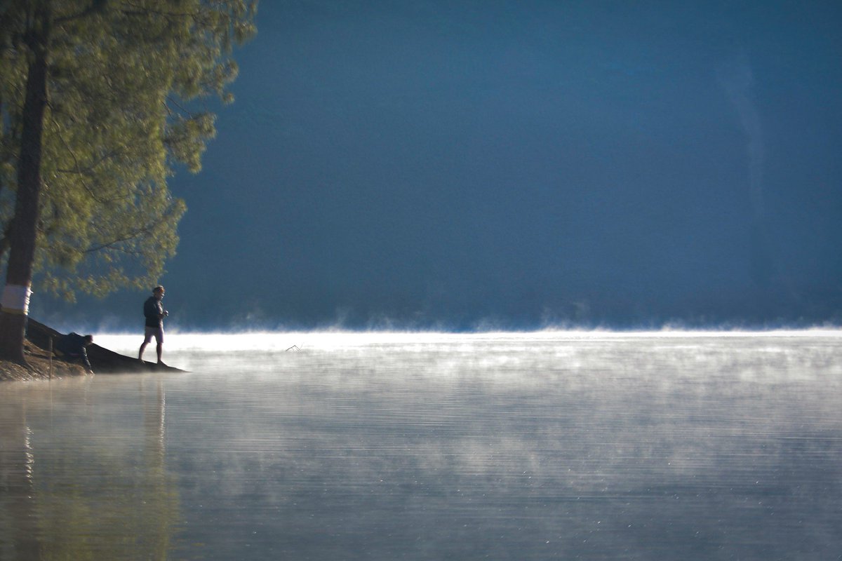 🦈 SUROBOYOFESS 🐊 tweet media