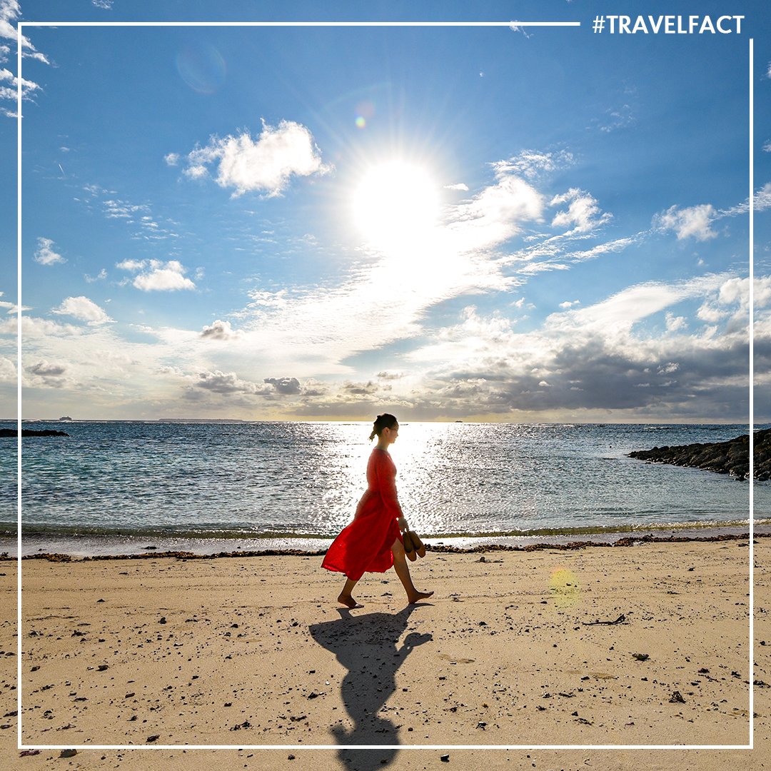 Travelxpdotcom's tweet photo. As an island country surrounded by water, Japan is home to countless beaches. However, swimmers have to be aware that strong currents and poisonous marine life, such as jellyfish, are hazards at some beaches in Japan.
#Travelxpdotcom #Japan #Islands #TravelFact #Explore https://t.co/7iteQtcKIG