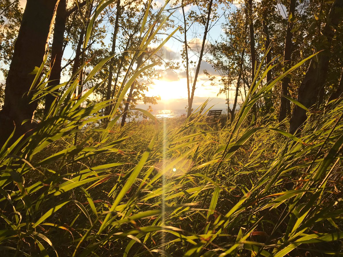 Sunrise DCXLIII. &ndash; bei  Davin's Beach