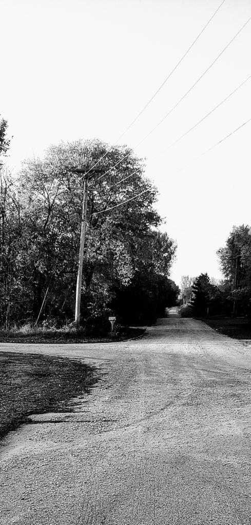 RUNWARTBURG's tweet photo. "Two roads diverged in a yellow wood..." and I took both of them because I needed to add miles. #WXC #runrunrunrunrun https://t.co/Ws2zgK4ZV3