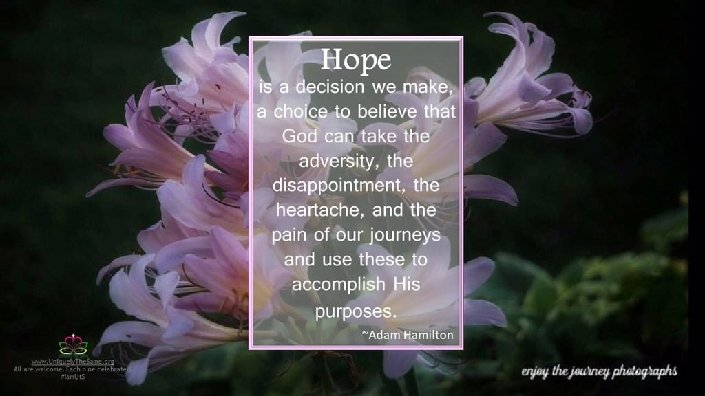 UTSORG's tweet photo. Hope!
https://t.co/97aot2QA1a
All are welcome. Each one celebrated.
#IamUtS 🌿 #disability #diversity #community #inclusion #belonging #DemystifyDisability #LivingLifeTogether #quotes
*photo by Andrea Duncan - enjoy the journey photographs https://t.co/KdKVhxKwAF