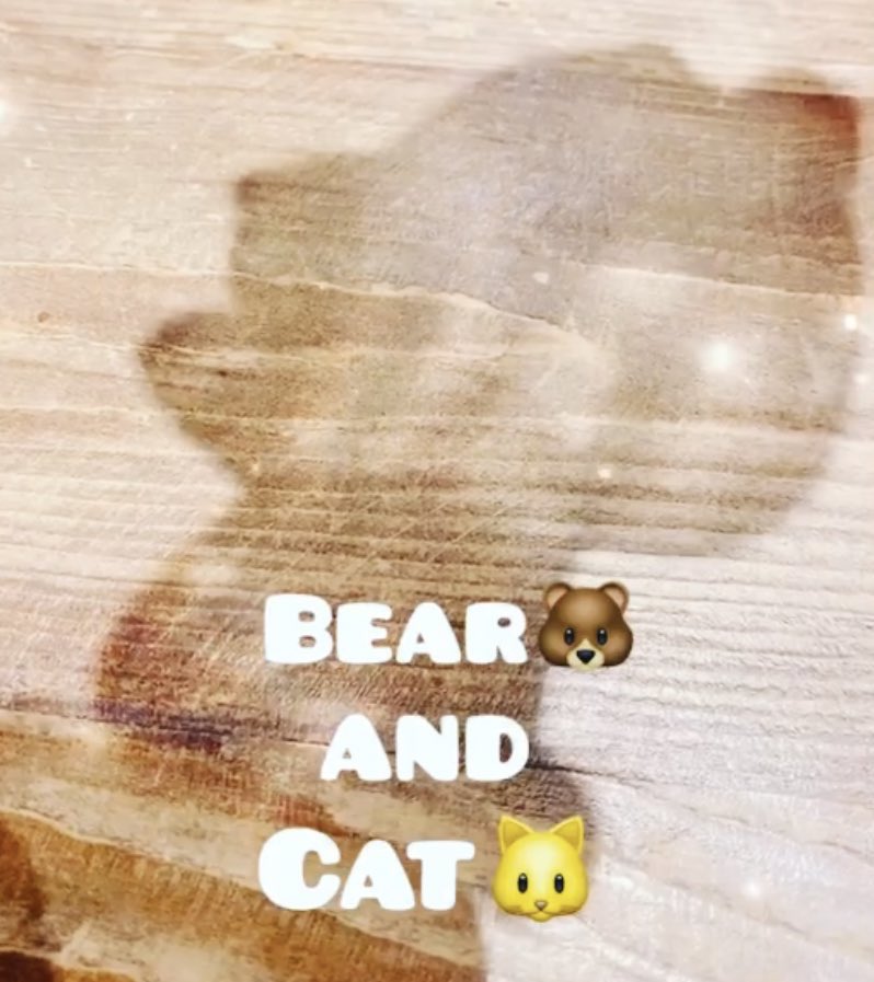 ToockeyPotter's tweet photo. 今日は #陶器の日

つまり
Toockey Potterの日🤩

Toockey Potter は
陶器から生まれた
半分ネコ、半分クマの子🐻🐱

いよいよ来週🙌🏻

10月8日
ドバイにてソフビデビュー✨

日本の販売は
11月デザフェス予定

#toockeypotter #dreamooland #moo #sofvi #ソフビ #猫 #クマ #doll #arttoy #art #dubai https://t.co/BHjl68yfXm