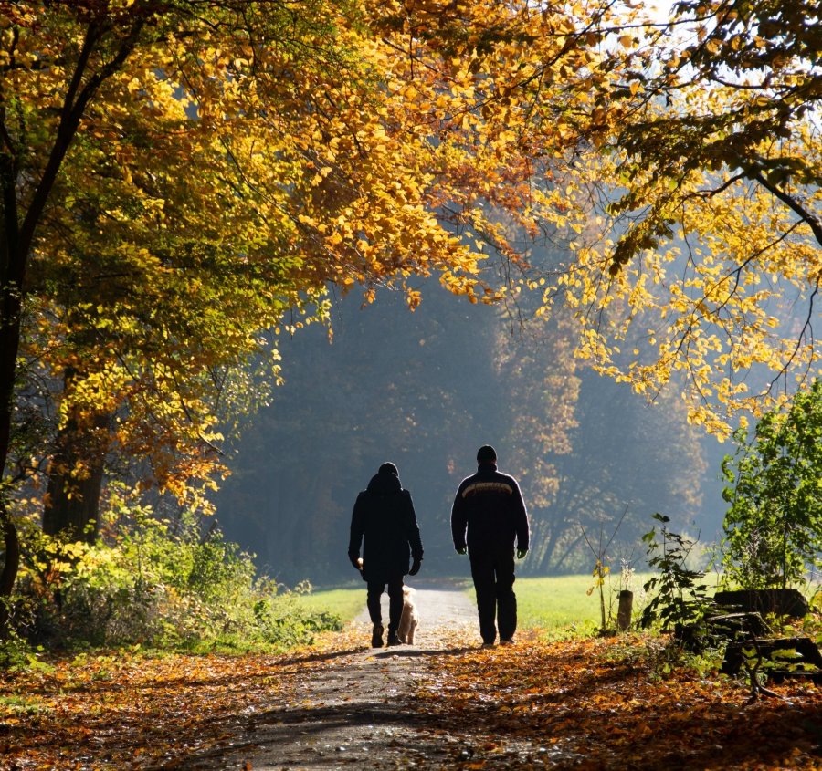 RULE 3: SUNDAY NATUREHave "greenery time" on Sundays:- Gardening- Cycling- Mountain climbing- Walking/Running- GolfNature reduces stress, fear & anxiety...And leads your brain to positive emotions.End and start your week with nature.