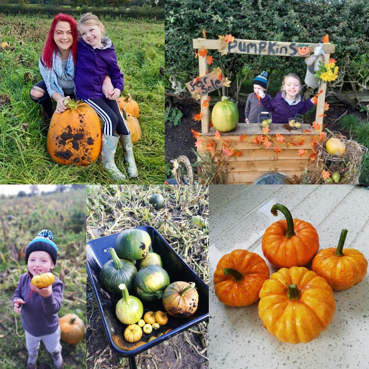 budge_emma's tweet photo. Pumpkin Picking with these little terrors ๐โบ๏ธ
#pumpkinpicking #libbyspumpkinpatch https://t.co/5ulEGjcBXC