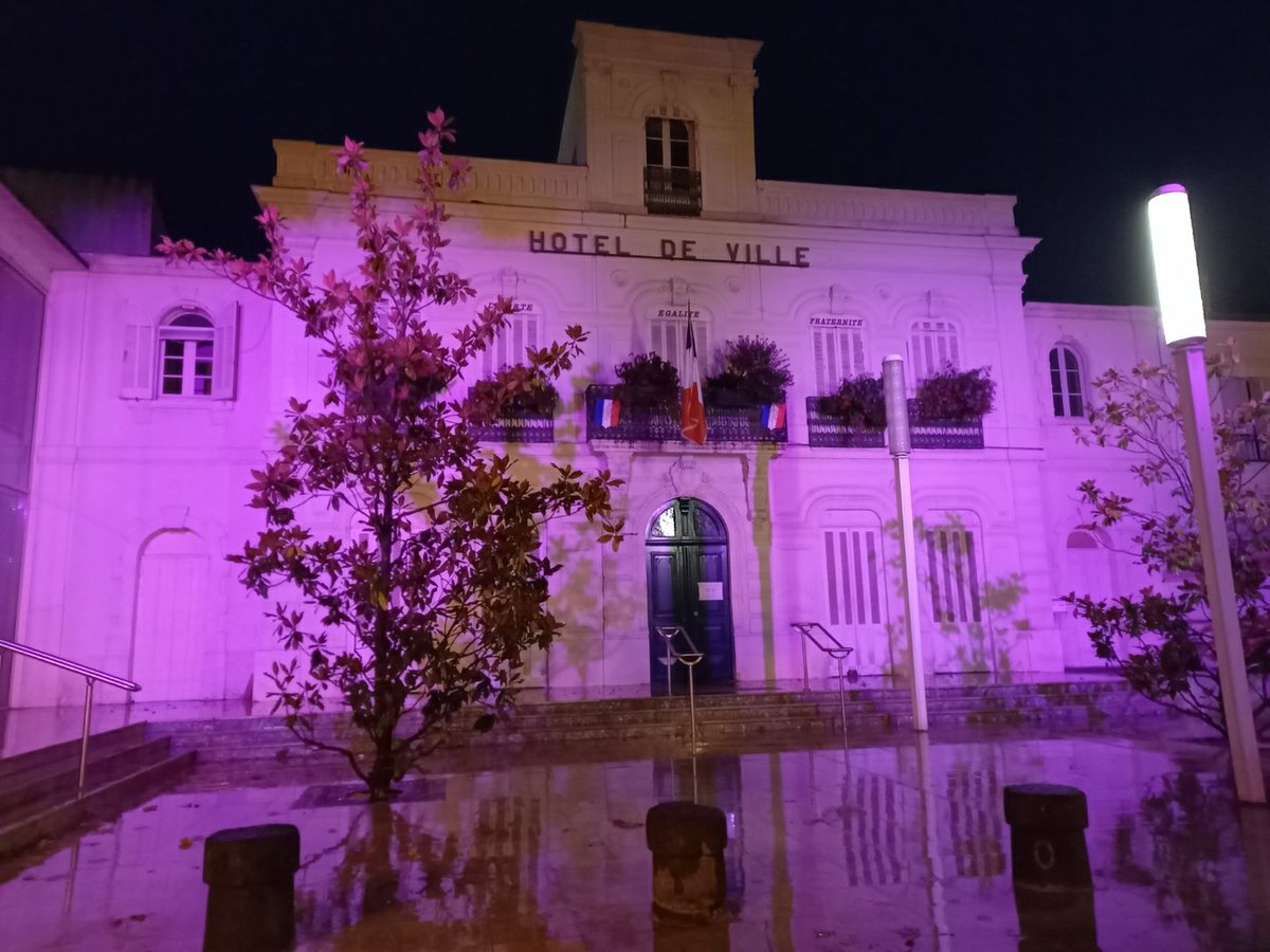 VilleLunel's tweet photo. #OctobreRose 🌹 La Ville de Lunel s'est mis au #rose pour le mois du #depistage du #CancerDuSein 
#mobilisation #solidarite #Sante #Santeaufeminin #prevention @MinSoliSante @CRCDCoccitanie @laliguecancer @santeprevention https://t.co/liX95qwcAs