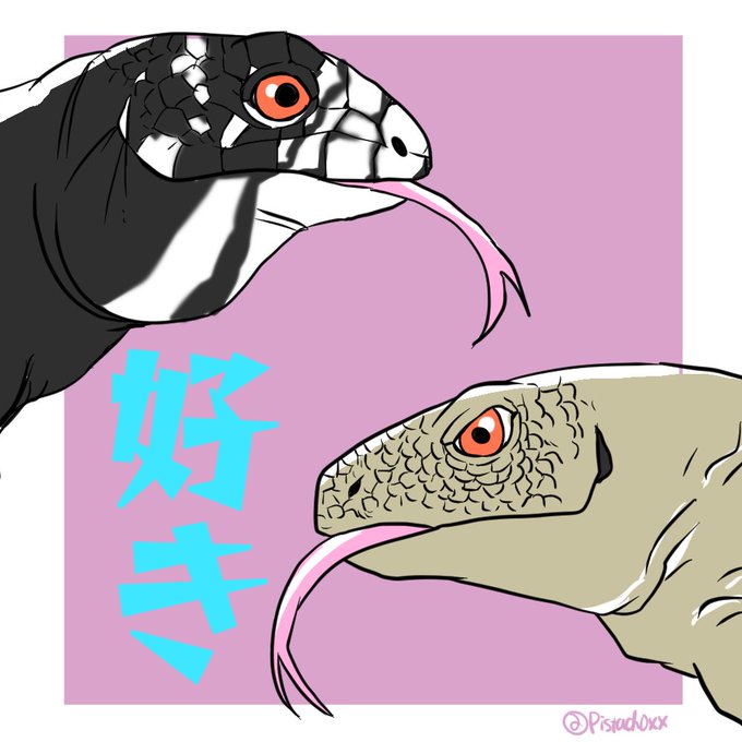 ブラックアンドホワイトテグーのtwitterイラスト検索結果 古い順