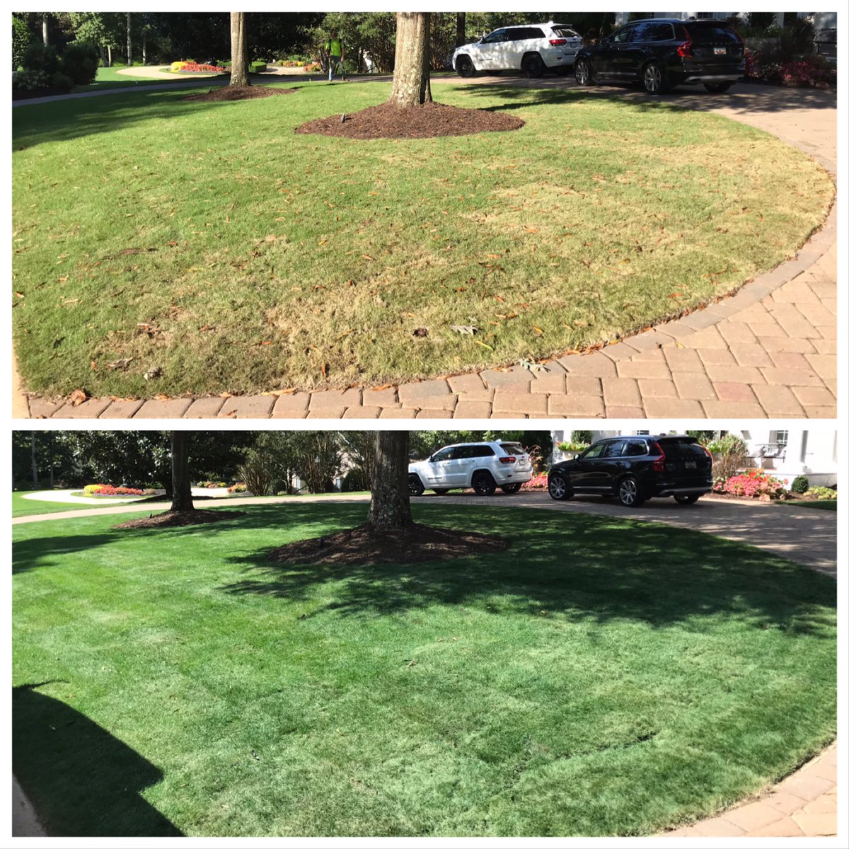 GURUGrass tweet media