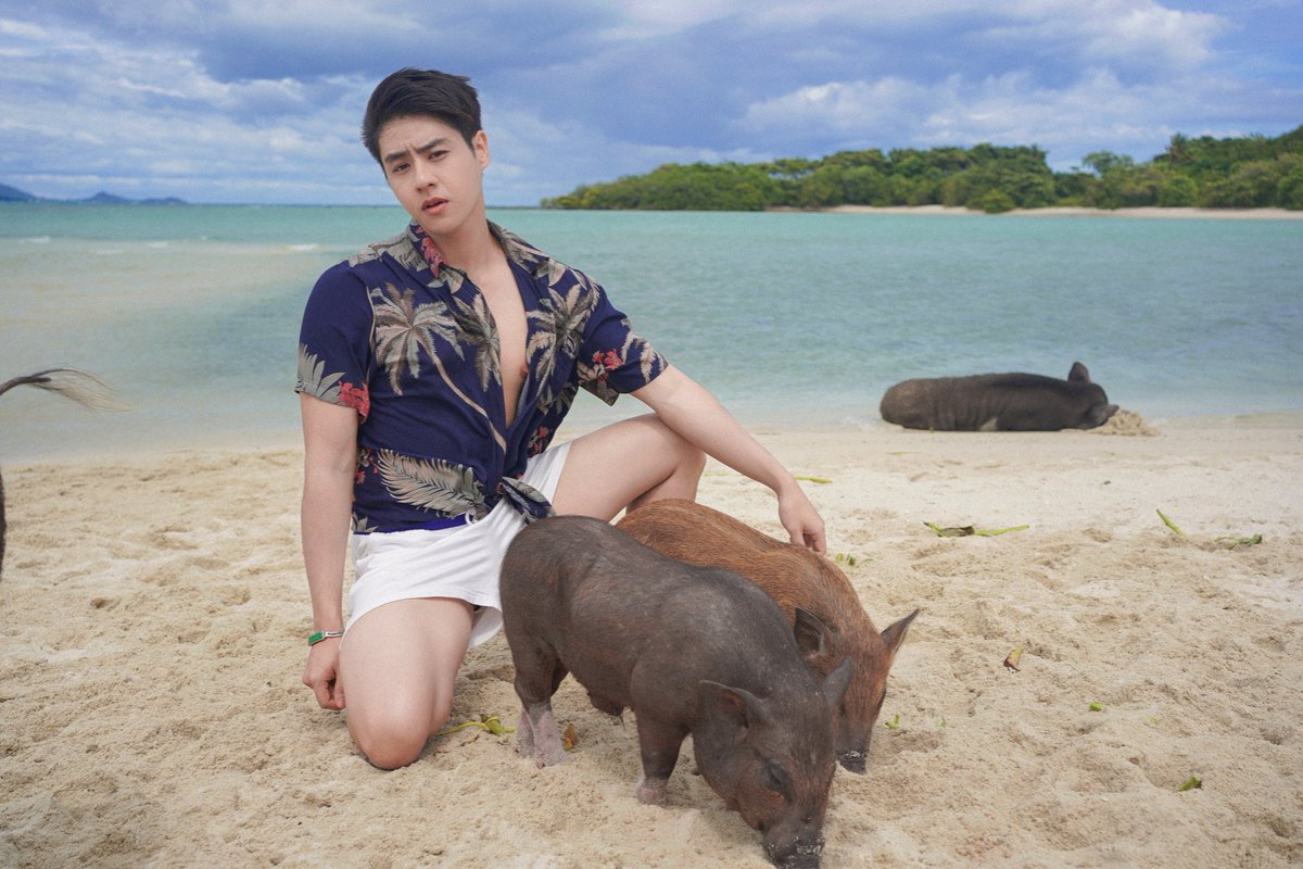 Teerawa34886976's tweet photo. มาเกาะหมู ต้องได้ถ้ายกับน้องหมู น้องตัวใหญ่มาก จับมาถ่ายด้วยยากหน่อยแต่ไม่ไม่ยากเกินพยายาม 😆 พวกตัวใหญ่ก็คุ้นกับคนไม่หนีไม่กลัว ตัวเล็กๆจะตื่นคนหน่อยชอบวิ่งหนี
ถ่ายเสร็จก็พร้อมกินแกเลย อิอิ
#rediscoversamui​ #samui​ #kohmudsum​ #สมุย​ #เกาะหมู https://t.co/Tl2W06Usaf