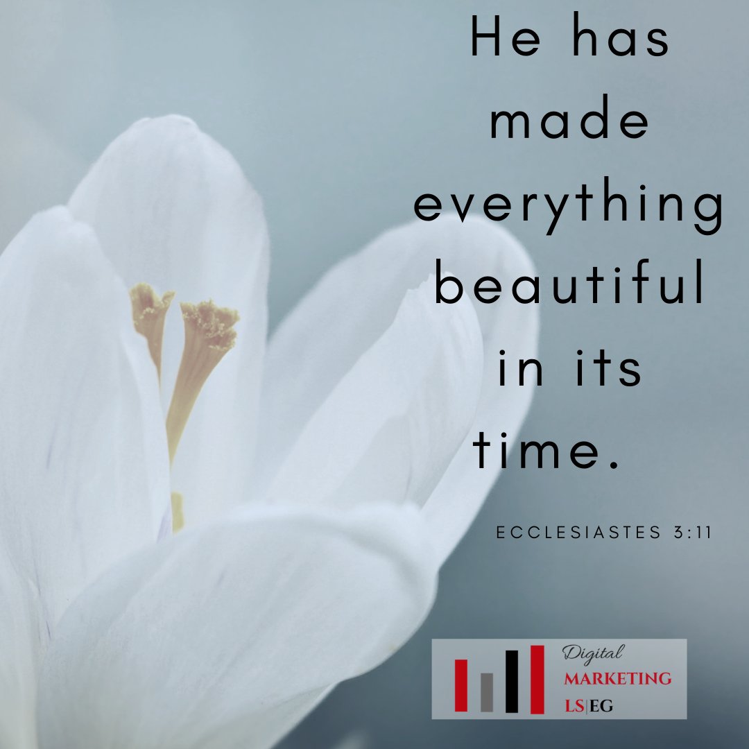 He has made everything beautiful in its time. Ecclesiastes 3:11
#faithinspired #livefullyalive #liveloved https://t.co/uUqpAPAIJv