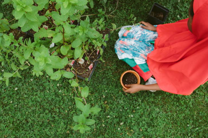 GeorgiaOrganics's tweet photo. Join us on Wednesday, Oct. 7 at 3 p.m. for a #FarmtoSchool webinar on Planting and Caring for a Fall Garden with Children K-8, a hands-on, interactive virtual workshop, part of our ongoing #GoodFoodforThought webinars!
Register: https://t.co/YHafs89XpM
📷 Jenna Shea Photography https://t.co/KjJIC42jeF