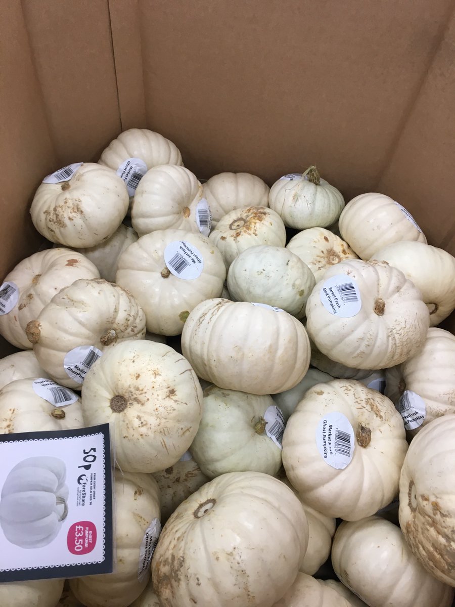 Okay so I found white pumpkins in the supermarket, there actually a thing!!

They were named ghost pumpkins lol 
There’s a fact for today!!
 🎃

Also go vegan cause animals shouldn’t die 
Plants are for humans!! 

@vorganicpotato

#GoVegan #Whitepumpkins #Halloween #Ghost