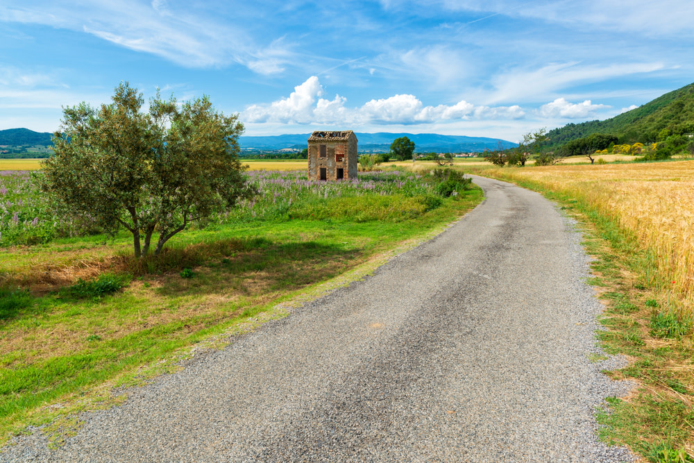 OlivesVines's tweet photo. After a difficult few months, a mini-break during October could be just what you need before winter arrives. Provence is the ideal destination. With access to miles of coastline and incredible countryside to enjoy it’s the perfect place to reinvigorate the body and mind. https://t.co/YGUn3kXwlR