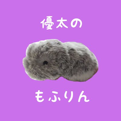 もふりん Recherche Sur Twitter