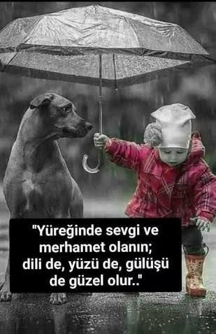 Gülümseyin işte ;
Kimine yalandan,
Kimine inattan,
Kimine içten,
Kimine küfürden,
Kimine sevgiyle,
Kimine 'Aşk' ile,
Bir şekilde gülün o yerine gider.
#DünyaGülümsemeGünü
#pazar