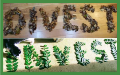 islamaryscott's tweet photo. 🚨🚨@glasgowCC pension fund currently invests £700 million in climate wrecking fossil fuels! Commit to taking  REAL ACTION on climate change @AngusCMillar @AnnaLangside @MarthaWardrop on the 6th October. #DivestToReinvest in #ClimateSolutions &amp; #ClimateJustice ✊🌍  @DivestSPF https://t.co/gNO3RH2w1S