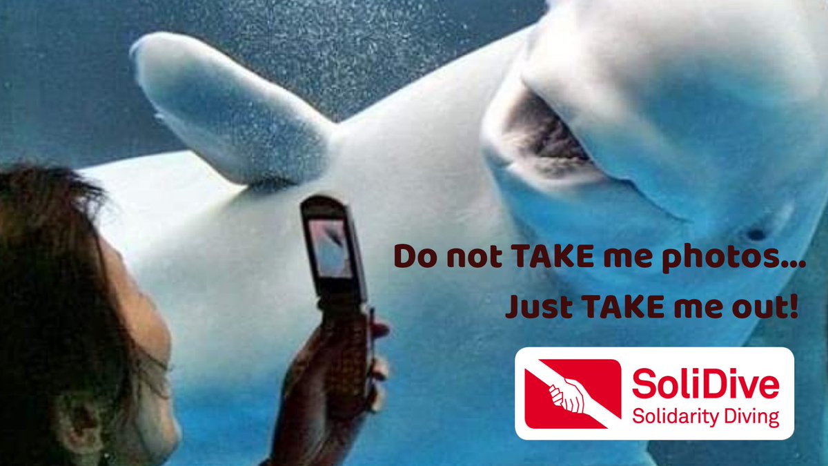#FreeWhales #FreeDolphins