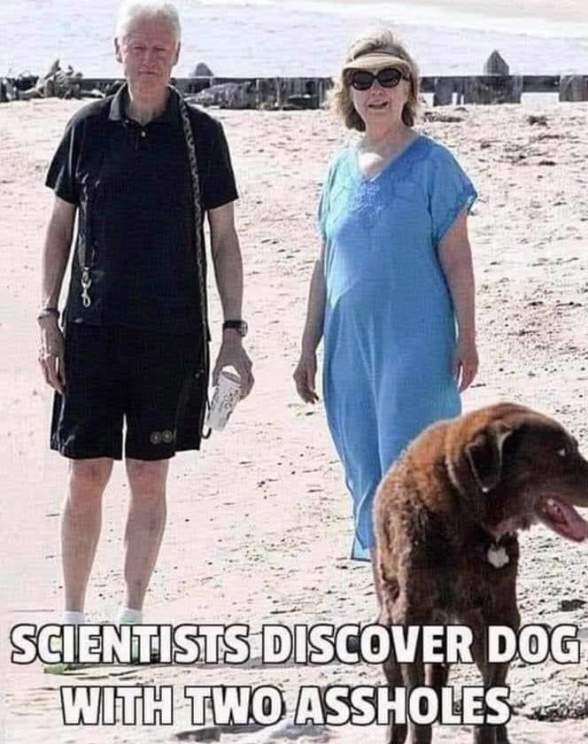 @CB618444 @Solmemes1 @MarkTJay3 @LVNancy @jtd_gameon12 @KatTheHammer1 @skb_sara @DonnaWR8 @FuctupMike @AllIn4Truth @MazurikL @PinkBelgium Scientists discover a dog with 2 assholes.