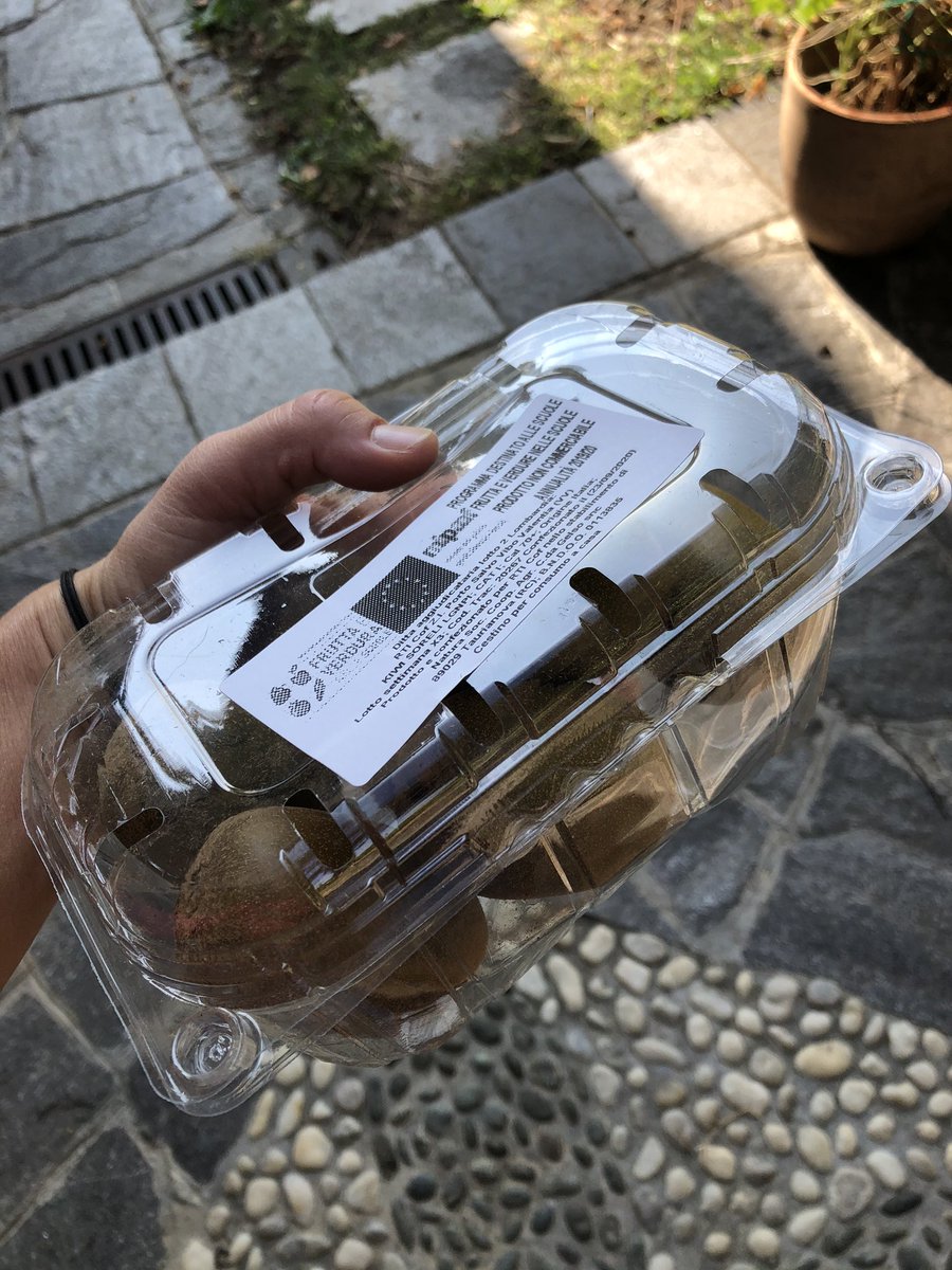 vareseselvatica's tweet photo. Riprende il progetto #fruttanellescuole, promosso da #UE e realizzato nelle scuole italiane da @Mipaaf_ @MinisteroSalute #MinisteroIstruzione 👉 con la frutta arrivano sui banchi anche montagne di plastica e prodotti che arrivano da lontano ⚠️ Succede anche a #Varese https://t.co/L9vKk7PDwa