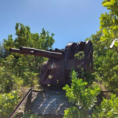 ナウル政府観光局日本語公式アカウントのフォロワー数が数日でナウルの総人口を突破し中の人がビザなし渡航を本国に掛け合う事態に Togetter