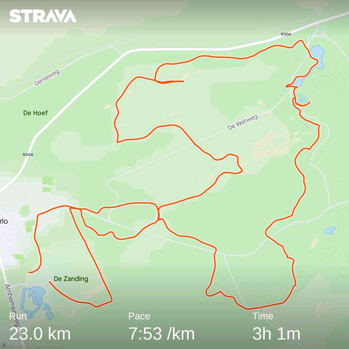 stevesutch's tweet photo. Run in the Hoge Veluwe national park, as not able to compete in Clarendon half Marathon. Hope all had a great run @ClarendonM @cftrust https://t.co/S8b4UryprH https://t.co/NZ2zO8shZw