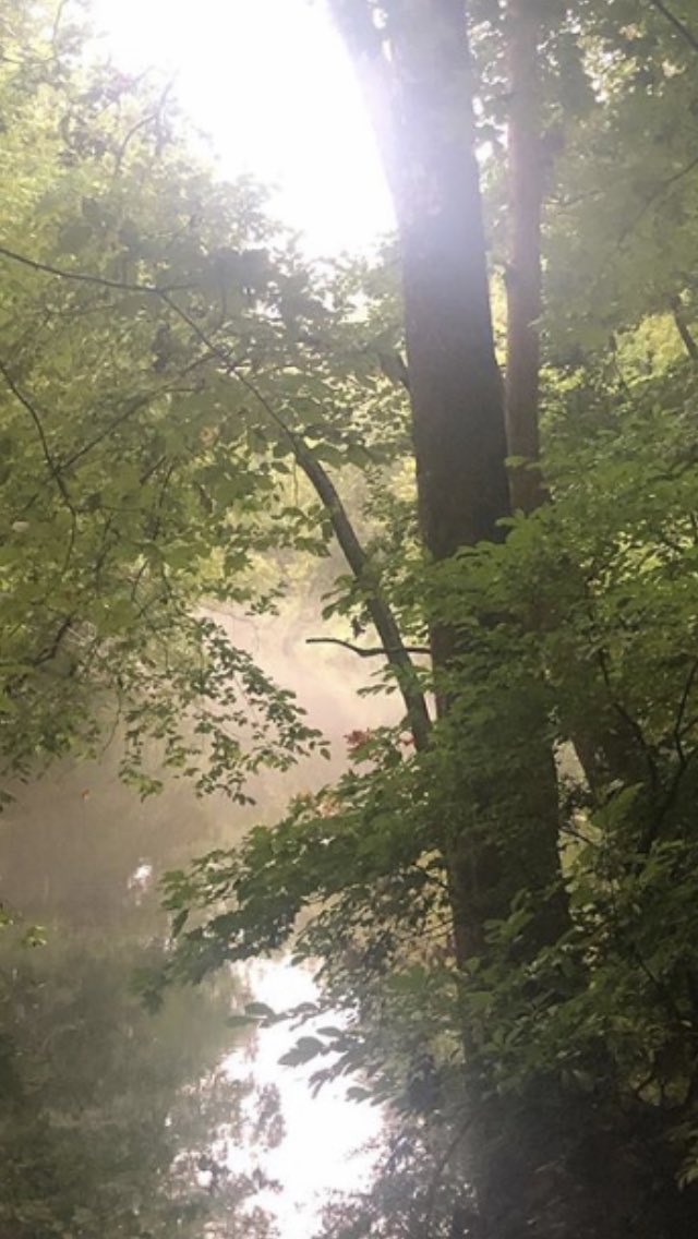 kelly_sattler's tweet image. Q-Trail for #CTBTA #PathOfHope