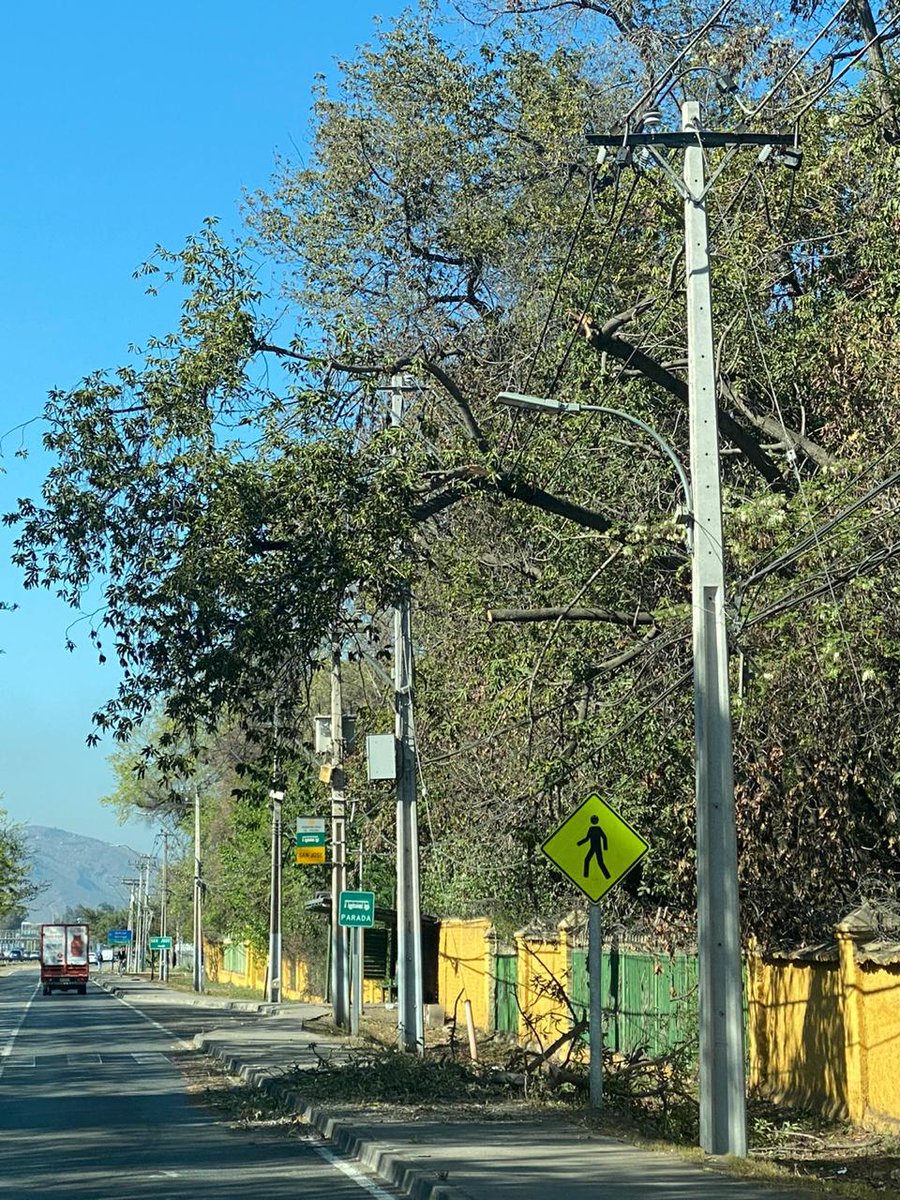 MuniColina's tweet photo. #Emergencia
Se registra alteración del suministro eléctrico debido a la caída de ramas sobre el tendido de media tensión en Lo Pinto, en la caletera de @autopista57. Personal municipal monitorea la situación a la espera de la llegada de @EnelClientesCL.
@mario_olavarria https://t.co/mFb3bHCx3t