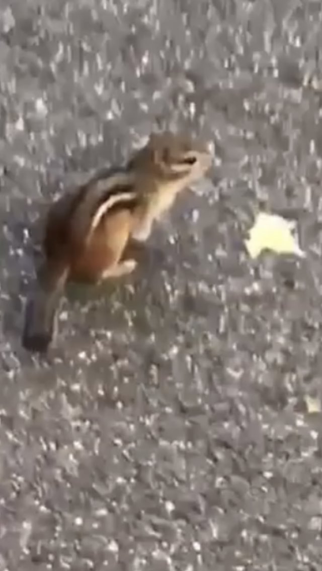 kelly_sattler's tweet image. Q-Trail for #CTBTA #PathOfHope