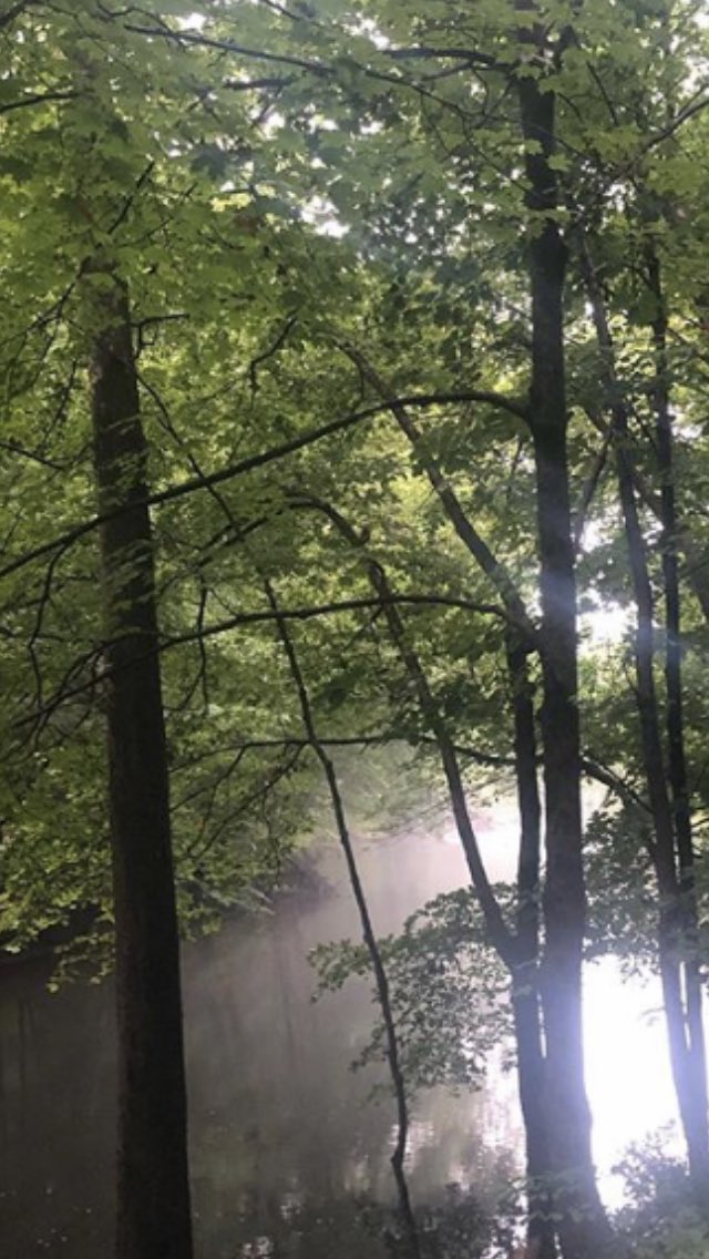 kelly_sattler's tweet image. Q-Trail for #CTBTA #PathOfHope