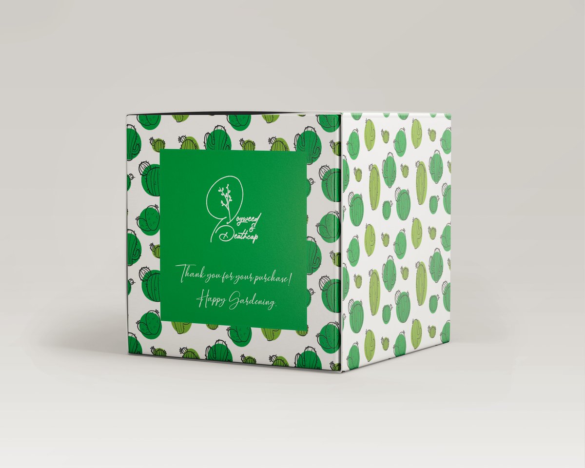 AH_DnDeathcap's tweet photo. ㅤ
ㅤㅤA box is delivered to each of your door. 

@jalinangita; @MrKAtheru; @MsAtheru

ㅤjustpaste .it/DnDOrder_041020
ㅤ https://t.co/0R7WBvWMVt