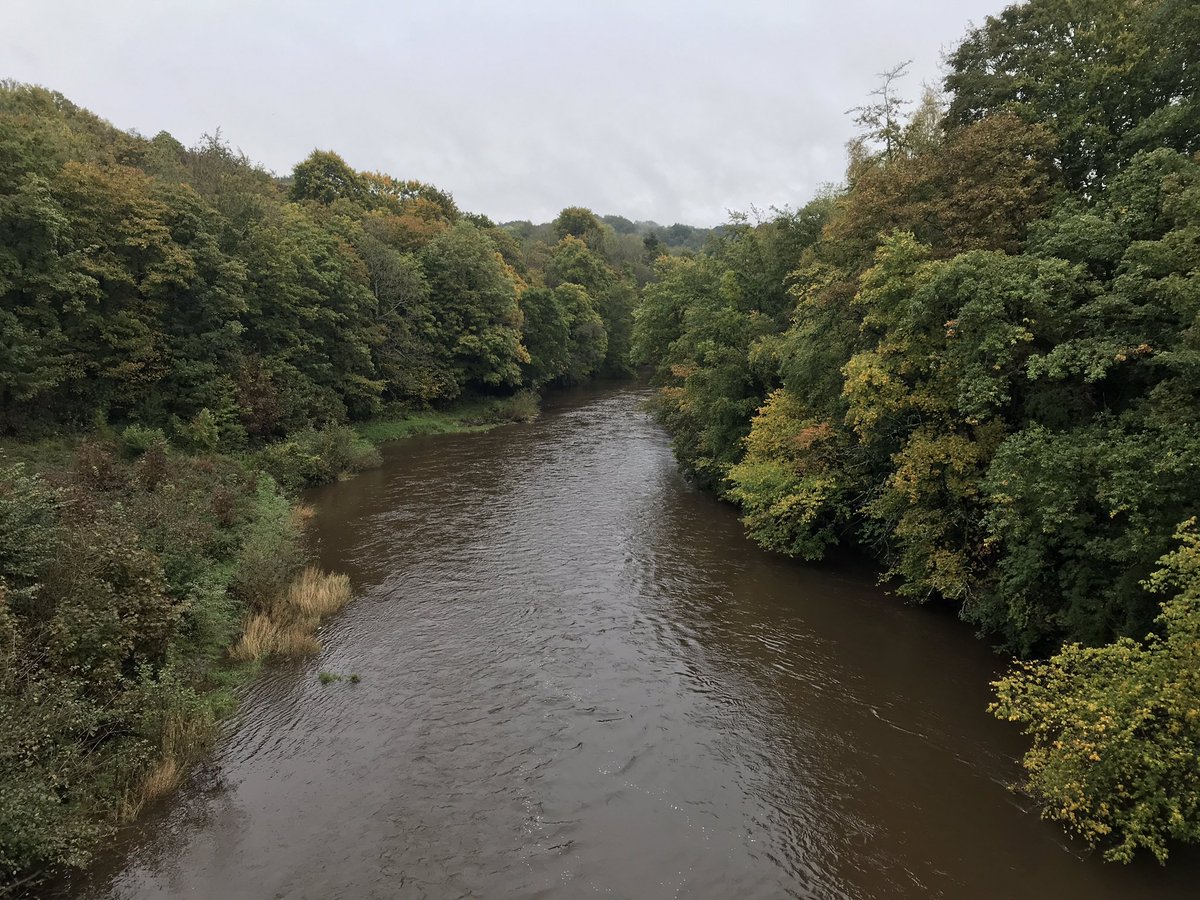 NicT211's tweet photo. #emfvirtual2020 #halfmarathon for @CahonasScotland today because thatβs what Peakers do - turn negatives into positives!
Might not be in Scotland but where I live is pretty beautiful too π
@MyPeakChallenge @SamHeughan #runnicrun #charityfundraising #peakerpower #checkonetwo https://t.co/aQHcD7ZNUw