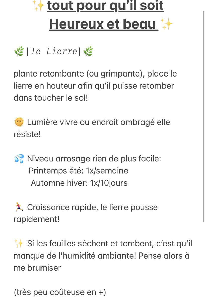 un indémodable: le lierre Le lierre symbolise la fidélité et la vie éternelle