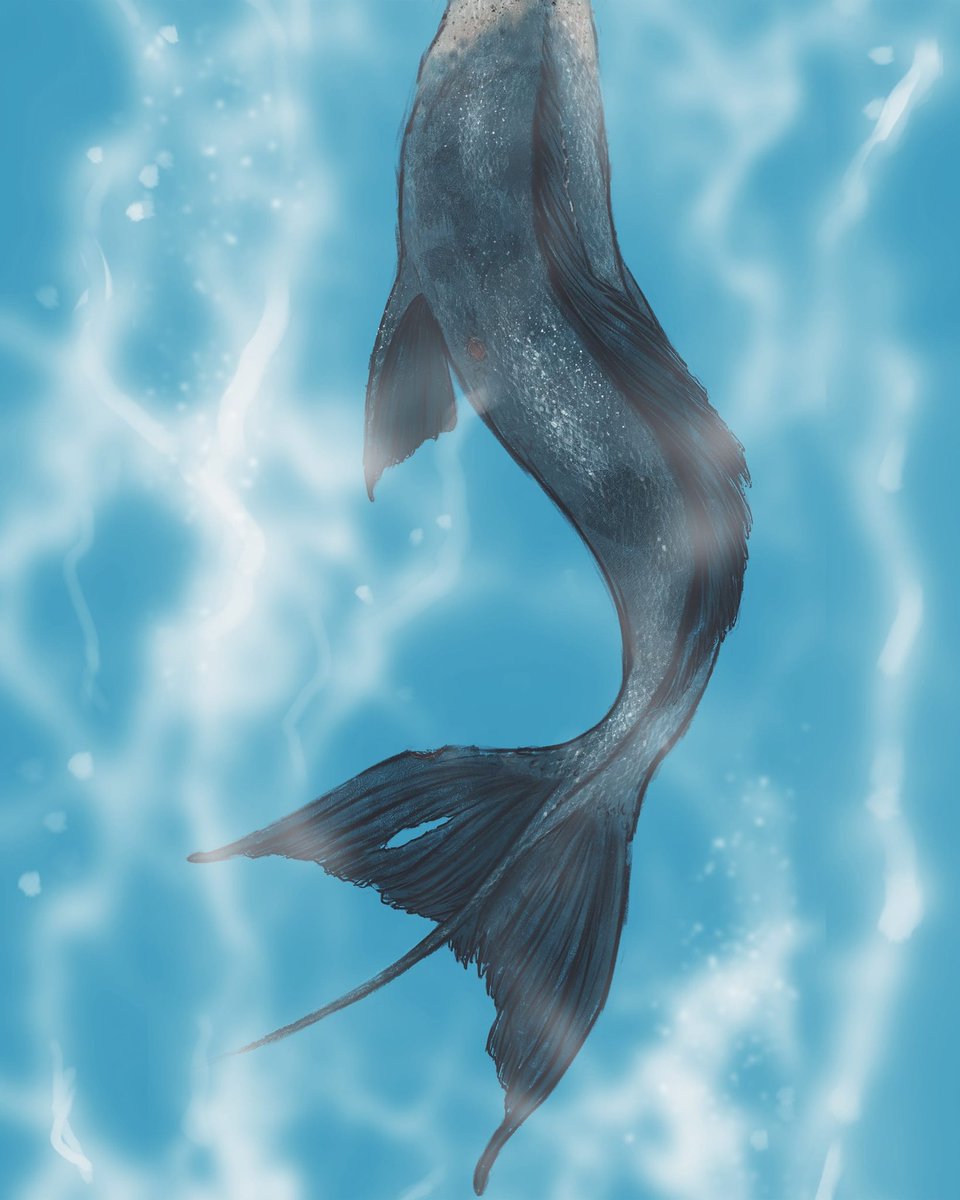 Day 1: Benny

Random themes this Inktober, deal with it 👌😂

#Inktober2020 #art #arting #artist #arts #digital #digitalart #drawing #painting #doodle #sketch #illustration #digitaldrawing #digitalpainting #digitaldoodle #digitalsketch #digitalillustration #merman #benjamindeans