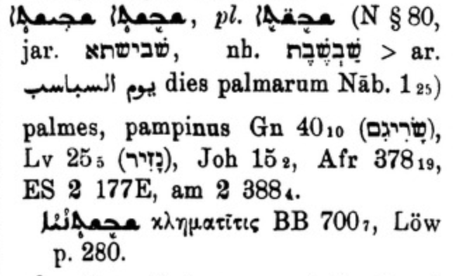 The words for Palm Sunday, يوم السباسب, have their echo in Syriac (below from Brockelmann's Lexicon Syriacum) 8/