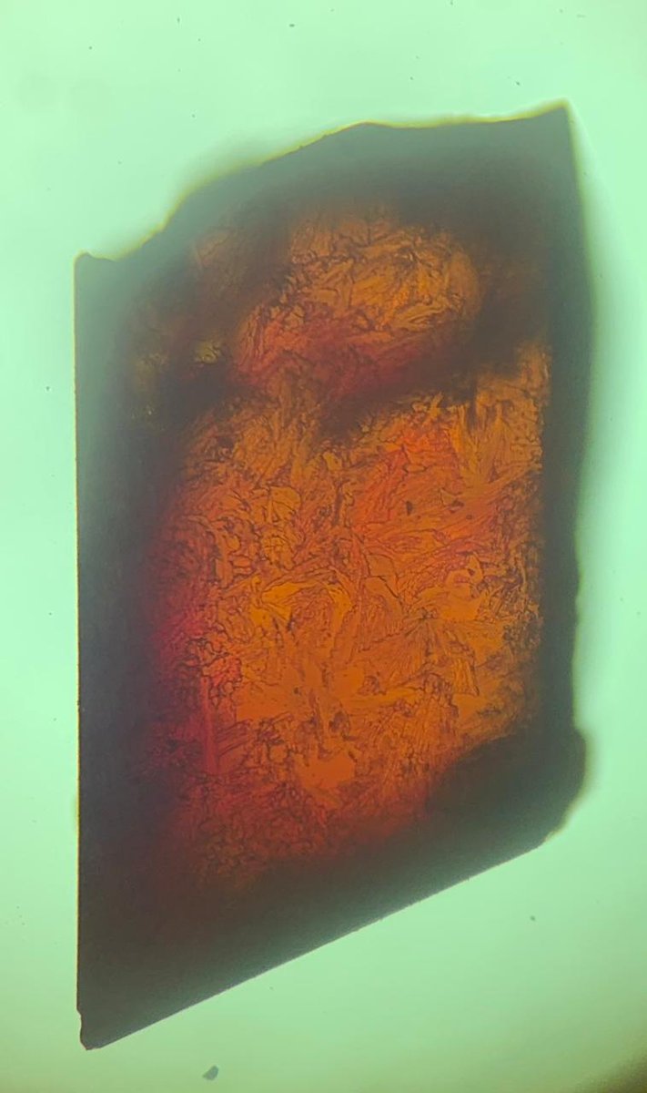 AliyahFakim's tweet photo. @chemsstudents, we @ShmsLab designed and synthesized Polymorphic Azobenzene Cage for Energy‐Efficient and Highly Selective p‐Xylene Separation  https://t.co/xJ3qDqLpFd #ShineBrightLikeAnAZOcage💎 https://t.co/oKZFirJuLp
