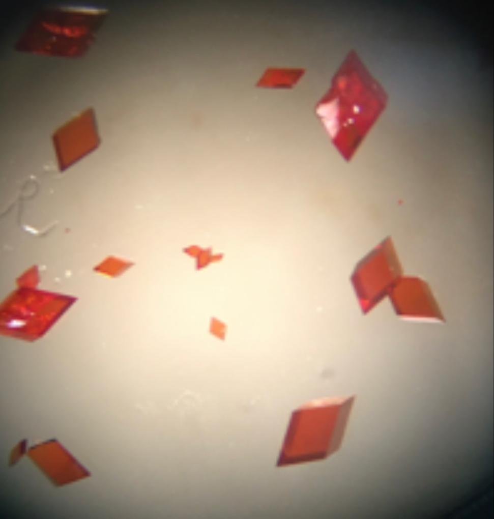 AliyahFakim's tweet photo. @chemsstudents, we @ShmsLab designed and synthesized Polymorphic Azobenzene Cage for Energy‐Efficient and Highly Selective p‐Xylene Separation  https://t.co/xJ3qDqLpFd #ShineBrightLikeAnAZOcage💎 https://t.co/oKZFirJuLp