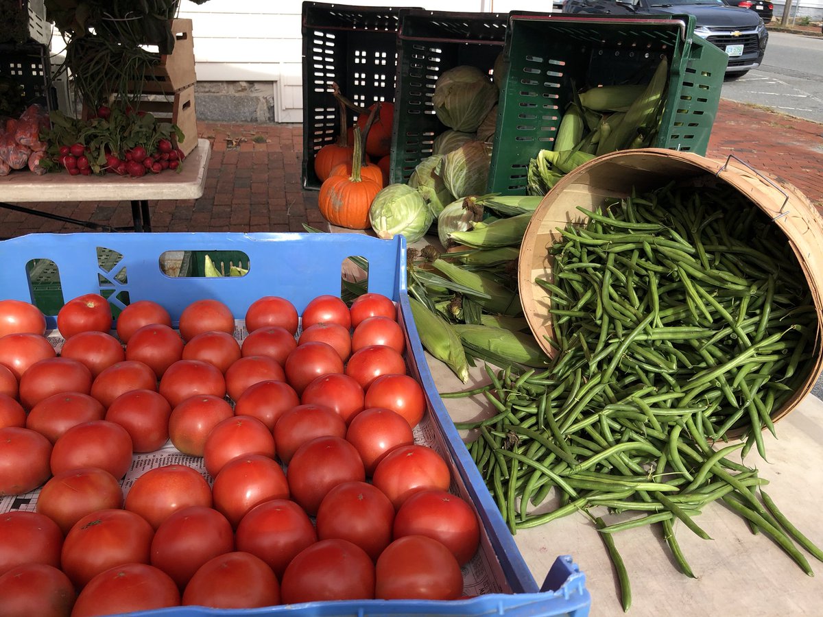 Come down and enjoy our last Market of the season! A great selection of vendors, including <a href="/NoAndMerchants/">No. And. Merchants</a> selling pumpkins!