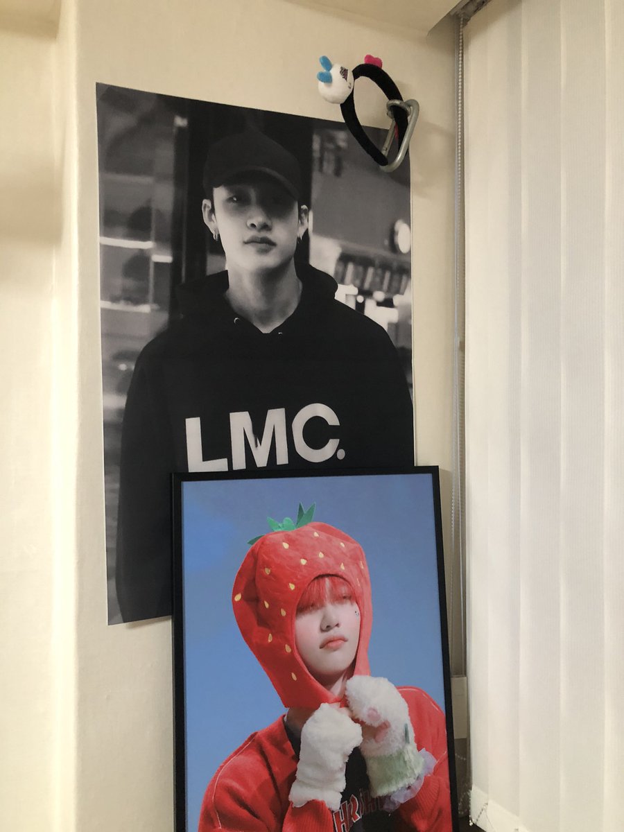 My aussie boys together though in very different styles 😂 Thank you <a href="/enchanted_cb/">ENCHANTED</a> for this banner and the beautiful cafe experience ✨