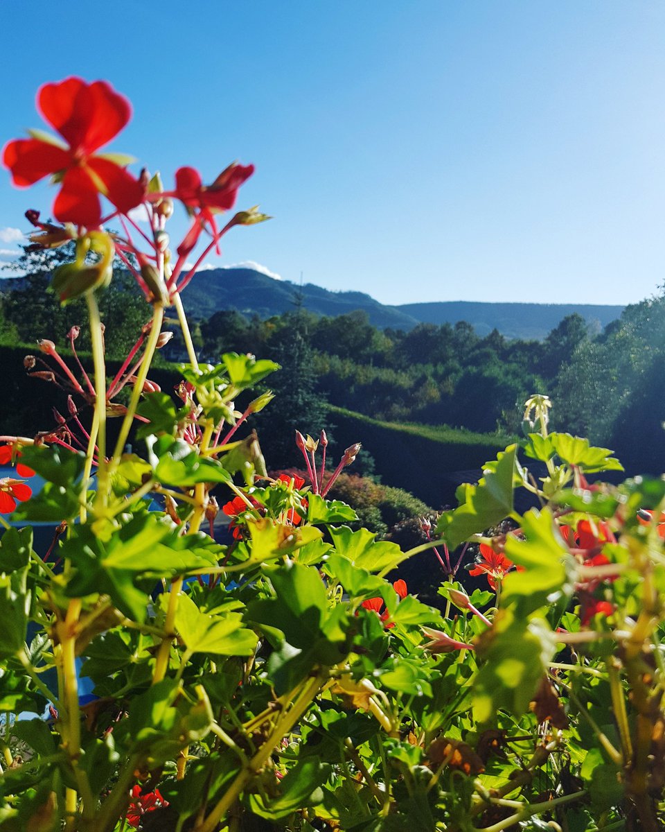 fotoqueenwix's tweet photo. One is loved because one is loved. No reason is needed for loving.
#flowers #flower #sky #mountain #poland #fallowforfallowback #fallow4fallow #likeforlikes #like4like #foto #polishgirl https://t.co/yeGq4cOMZj