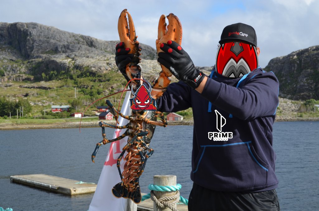 AntimateDe's tweet photo. Erster Matchday in der @PrimeLeague,
Wir hoffen wir können heute zwei Punkte an Land ziehen. @cottbusesports wird sich dagegen wahrscheinlich mehr wehren, als auf diesem Bild!

Send us your Energy!
(no animals were harmed) O.o
#PRIMELeague https://t.co/zBpNitLKyL