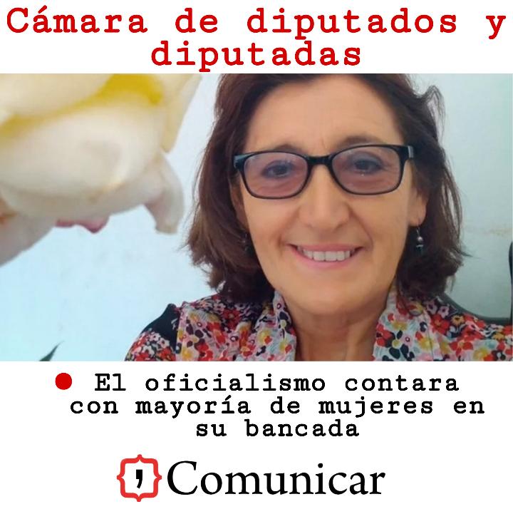 ComunicarNotic1's tweet photo. 📌La asunción como diputada nacional de la antropóloga y dirigente salteña #AliciaFigueroa en reemplazo del renunciante #JuanAmeri le permitirá al #FrentedeTodos de la Cámara baja alcanzar la mayoría de mujeres en el bloque, con 60 sobre el total de 119 que lo integran. https://t.co/cqEsYh4VLC