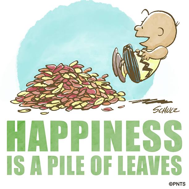 Fall is my favorite time of year 🍂