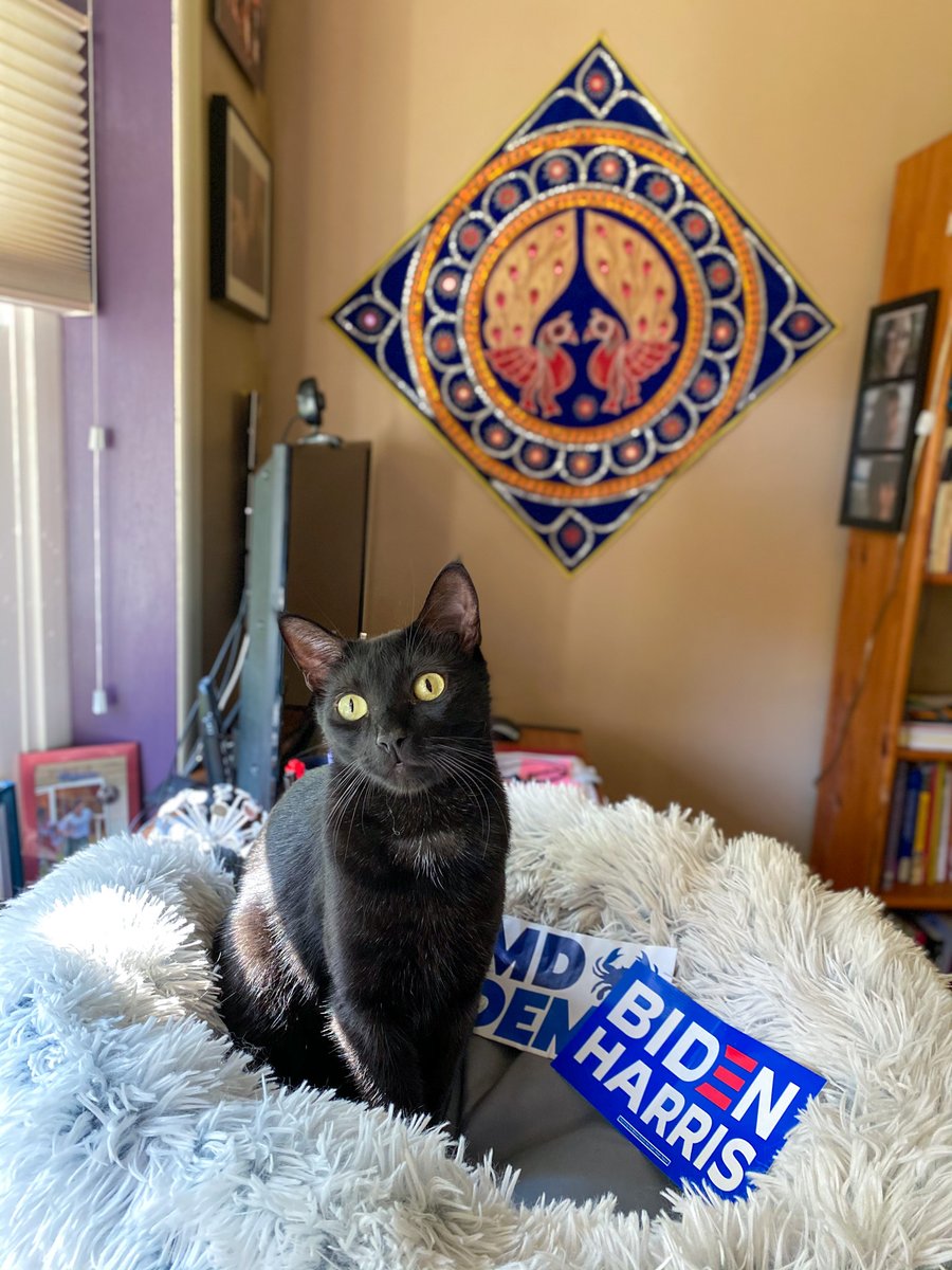 Maryland Democratic Party tweet media